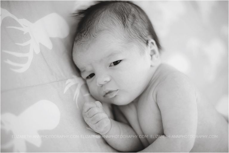 newborn05.jpg