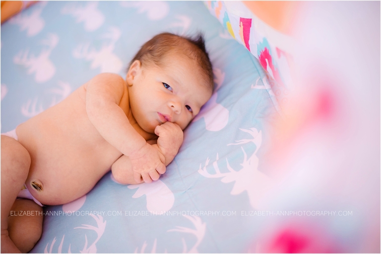 newborn06.jpg