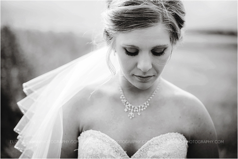 northwest ohio wedding photographer15.jpg