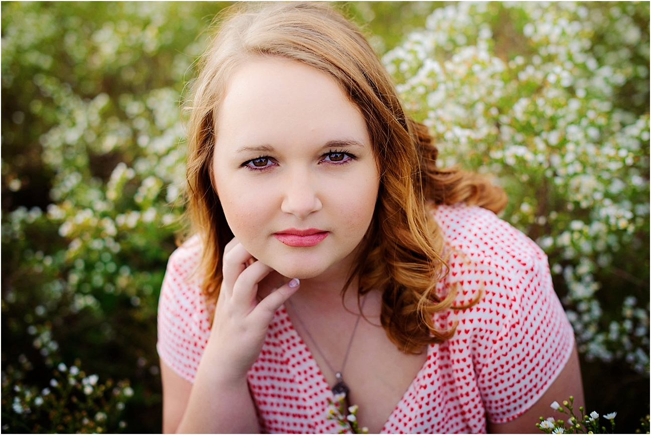 RACHEL // SENIOR // COLDWATER OHIO HIGH SCHOOL - Liz Wenning Photography