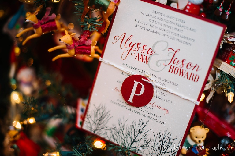 ohio family photographer